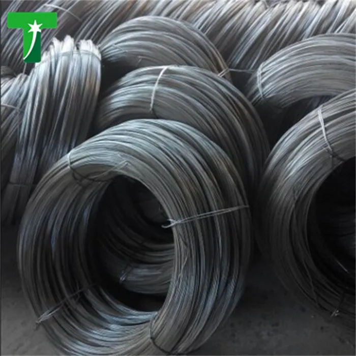 ASTM Hot Dipped Galvanized Steel Wire ASTM Hot Dipped Galvanized Steel Wire